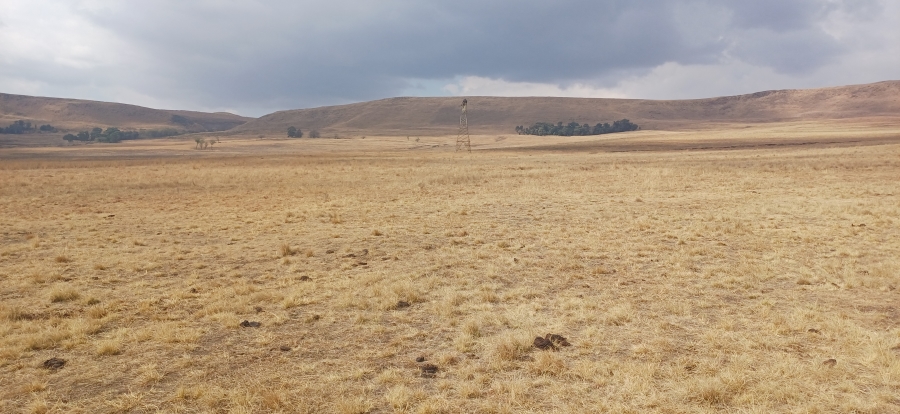 0 Bedroom Property for Sale in Amersfoort Rural Mpumalanga