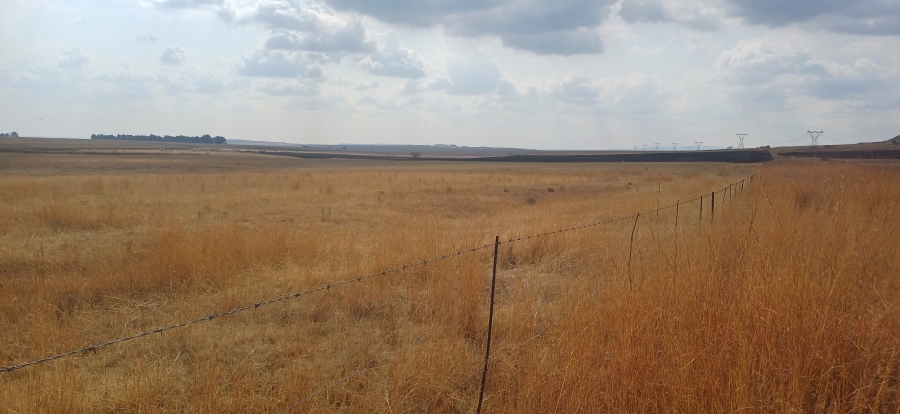 0 Bedroom Property for Sale in Amersfoort Rural Mpumalanga