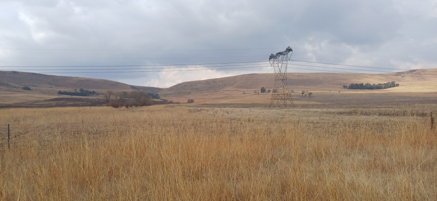 0 Bedroom Property for Sale in Amersfoort Rural Mpumalanga