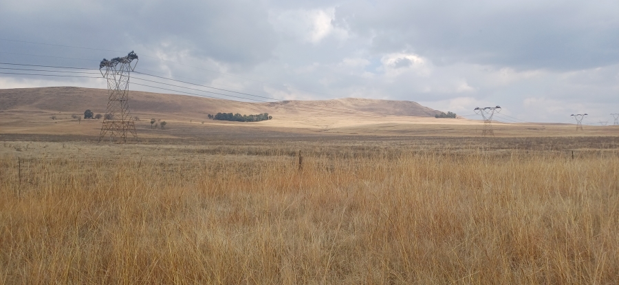 0 Bedroom Property for Sale in Amersfoort Rural Mpumalanga