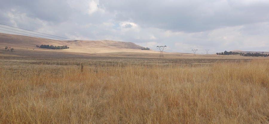 0 Bedroom Property for Sale in Amersfoort Rural Mpumalanga