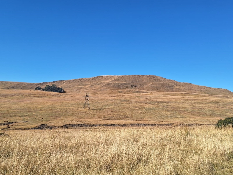 0 Bedroom Property for Sale in Amersfoort Rural Mpumalanga