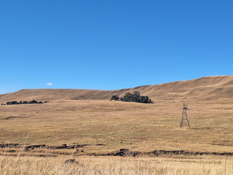 0 Bedroom Property for Sale in Amersfoort Rural Mpumalanga