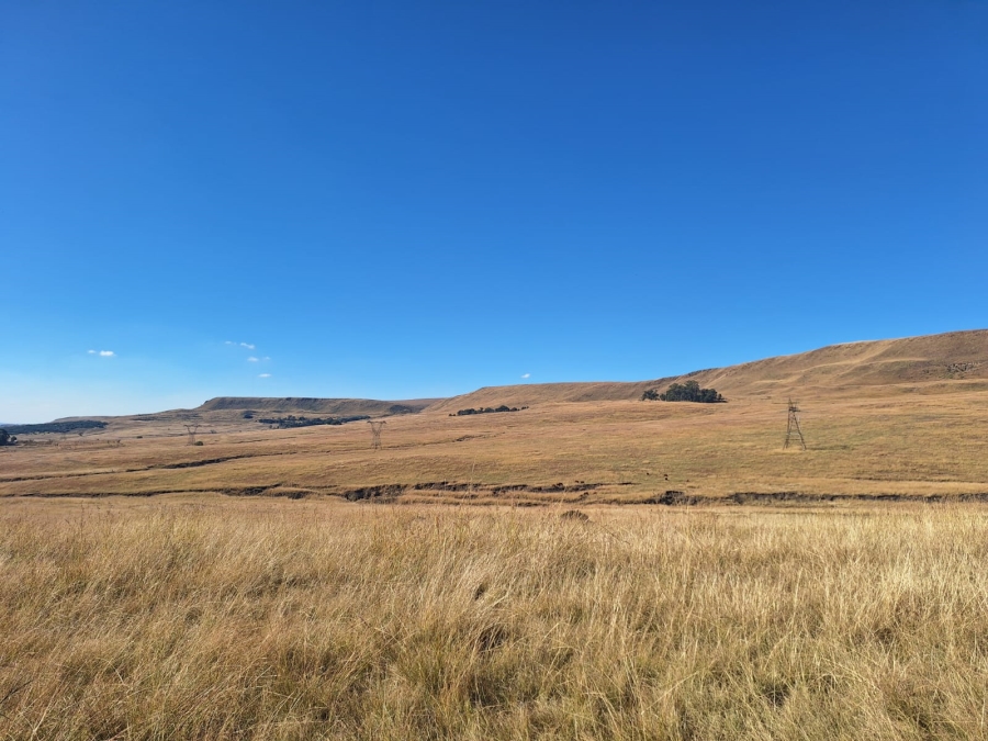 0 Bedroom Property for Sale in Amersfoort Rural Mpumalanga