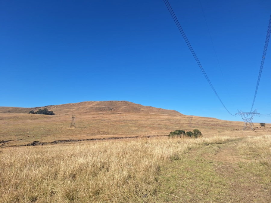 0 Bedroom Property for Sale in Amersfoort Rural Mpumalanga