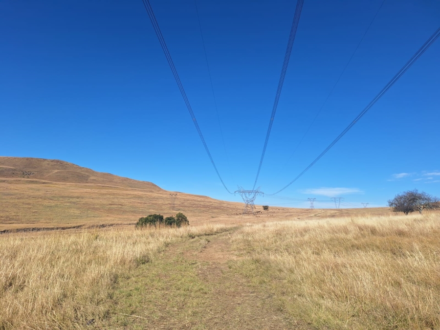0 Bedroom Property for Sale in Amersfoort Rural Mpumalanga