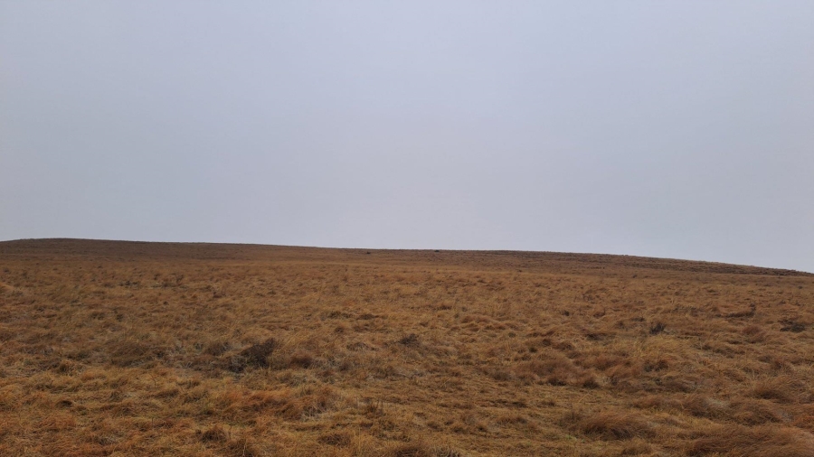 0 Bedroom Property for Sale in Amersfoort Rural Mpumalanga