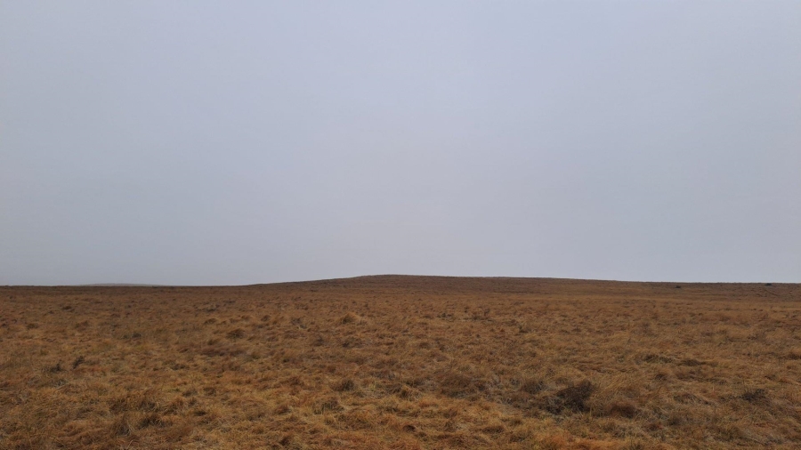 0 Bedroom Property for Sale in Amersfoort Rural Mpumalanga