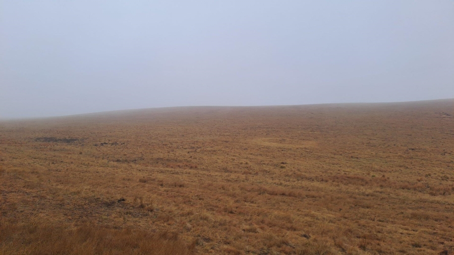 0 Bedroom Property for Sale in Amersfoort Rural Mpumalanga