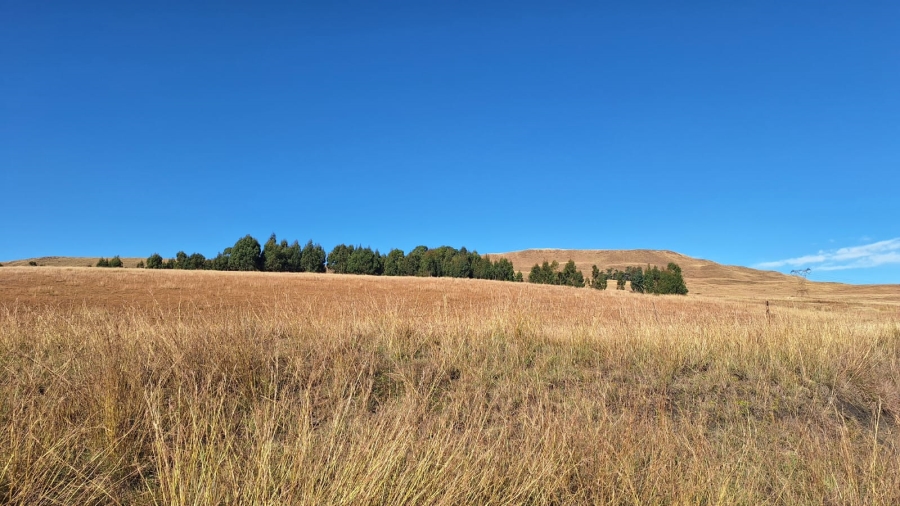 0 Bedroom Property for Sale in Amersfoort Rural Mpumalanga