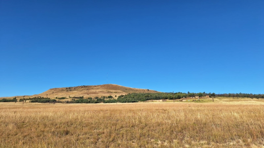 0 Bedroom Property for Sale in Amersfoort Rural Mpumalanga