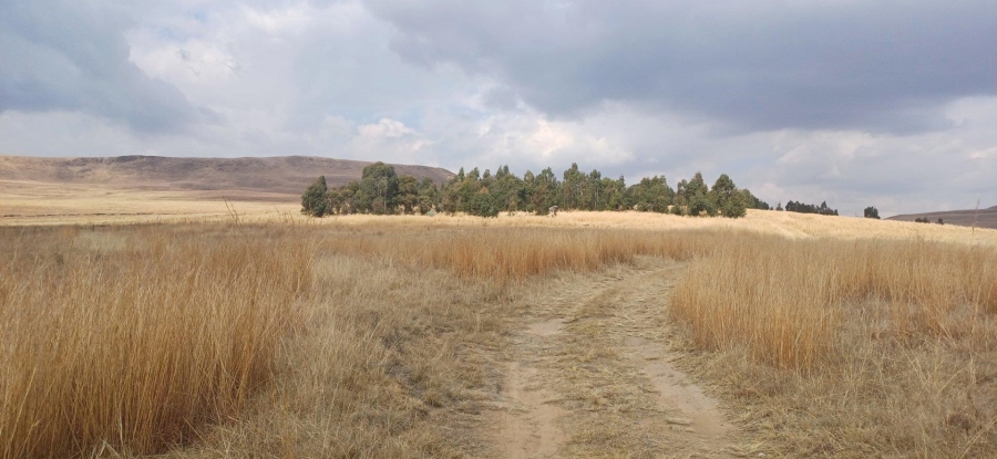 0 Bedroom Property for Sale in Amersfoort Rural Mpumalanga