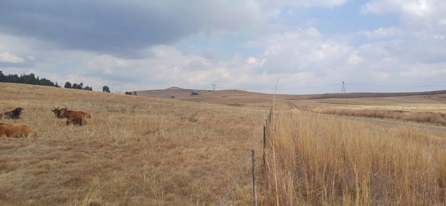 0 Bedroom Property for Sale in Amersfoort Rural Mpumalanga