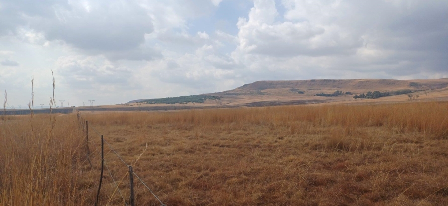 0 Bedroom Property for Sale in Amersfoort Rural Mpumalanga