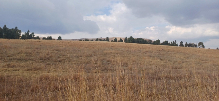 0 Bedroom Property for Sale in Amersfoort Rural Mpumalanga