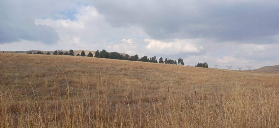 0 Bedroom Property for Sale in Amersfoort Rural Mpumalanga