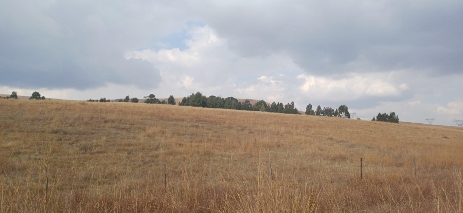 0 Bedroom Property for Sale in Amersfoort Rural Mpumalanga