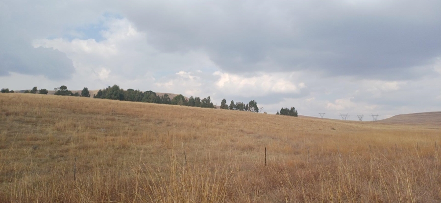 0 Bedroom Property for Sale in Amersfoort Rural Mpumalanga
