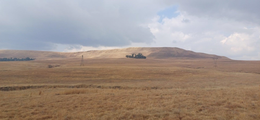 0 Bedroom Property for Sale in Amersfoort Rural Mpumalanga