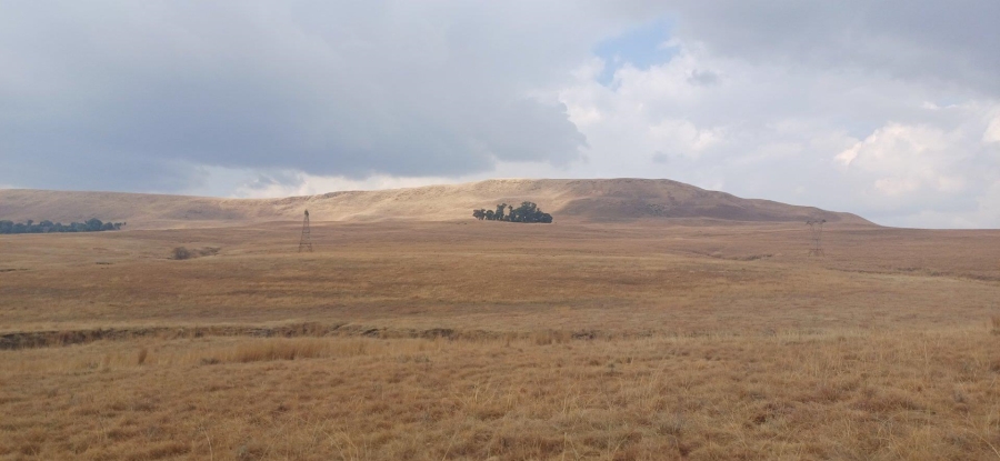 0 Bedroom Property for Sale in Amersfoort Rural Mpumalanga