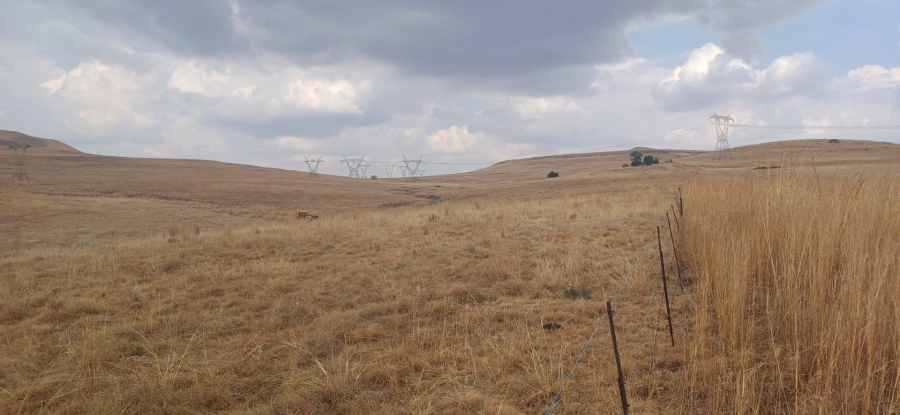0 Bedroom Property for Sale in Amersfoort Rural Mpumalanga