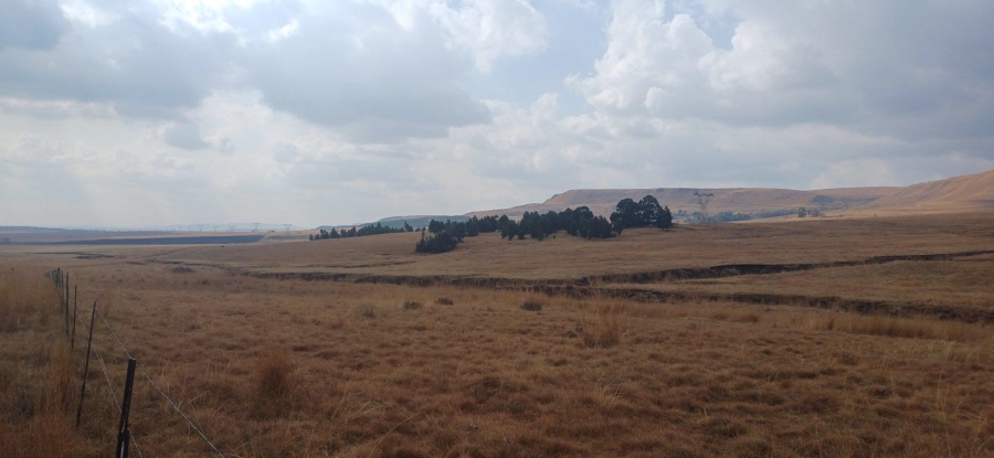 0 Bedroom Property for Sale in Amersfoort Rural Mpumalanga