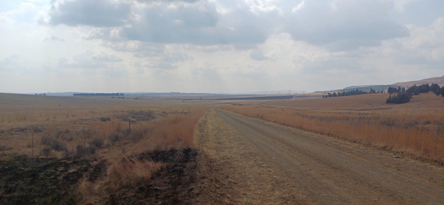 0 Bedroom Property for Sale in Amersfoort Rural Mpumalanga