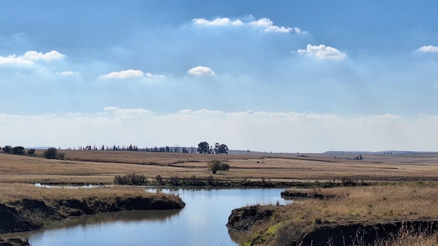 0 Bedroom Property for Sale in Amersfoort Rural Mpumalanga