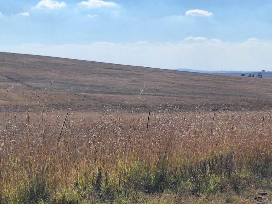 0 Bedroom Property for Sale in Amersfoort Rural Mpumalanga