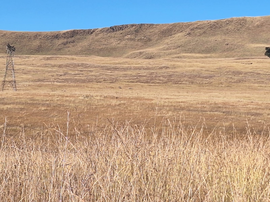 0 Bedroom Property for Sale in Amersfoort Rural Mpumalanga