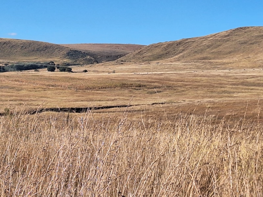 0 Bedroom Property for Sale in Amersfoort Rural Mpumalanga