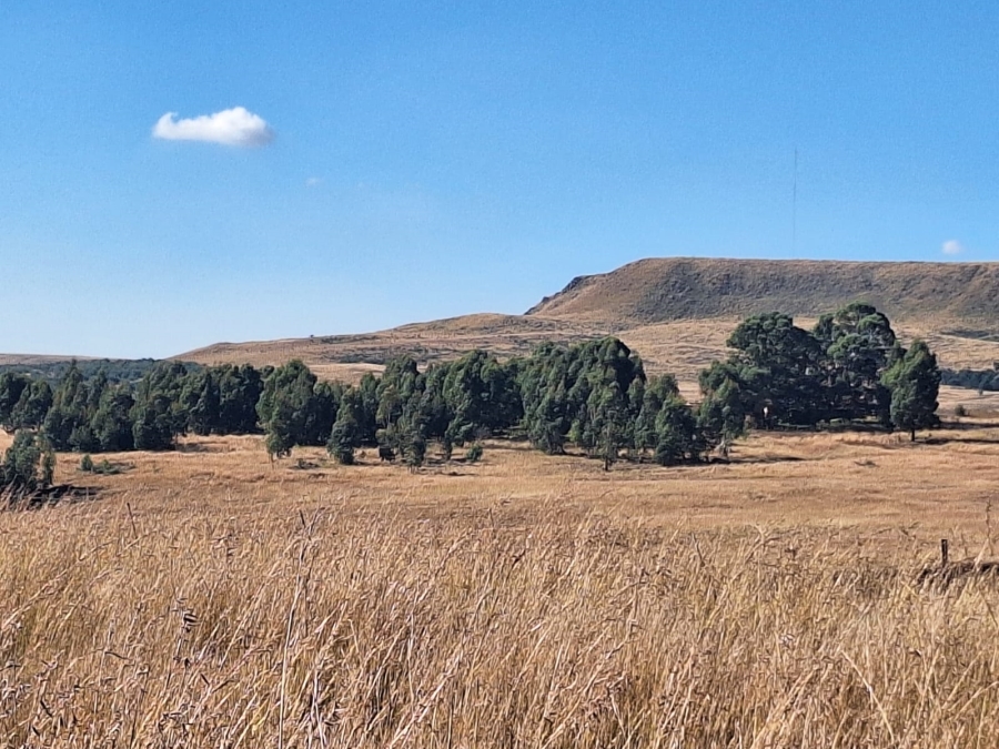 0 Bedroom Property for Sale in Amersfoort Rural Mpumalanga