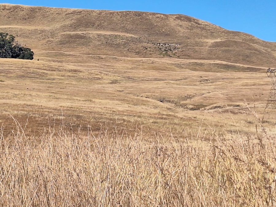 0 Bedroom Property for Sale in Amersfoort Rural Mpumalanga