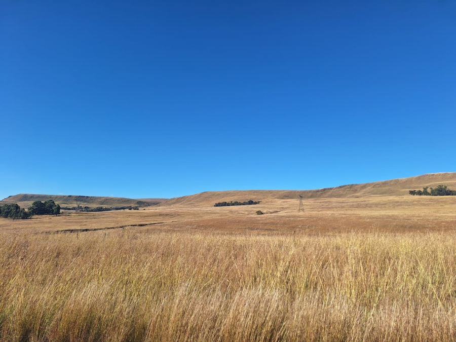 0 Bedroom Property for Sale in Amersfoort Rural Mpumalanga