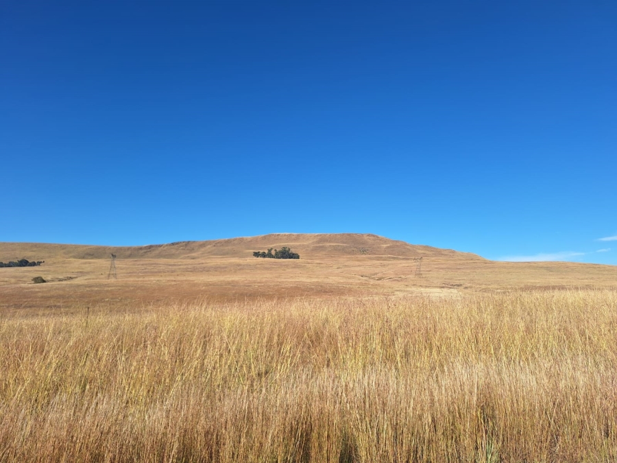 0 Bedroom Property for Sale in Amersfoort Rural Mpumalanga