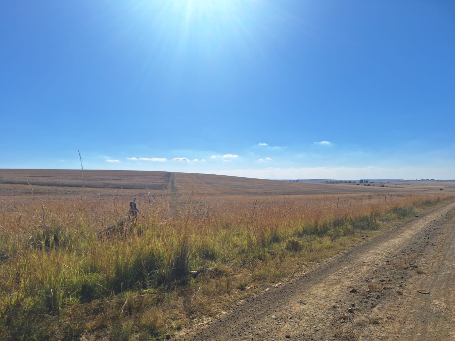 0 Bedroom Property for Sale in Amersfoort Rural Mpumalanga