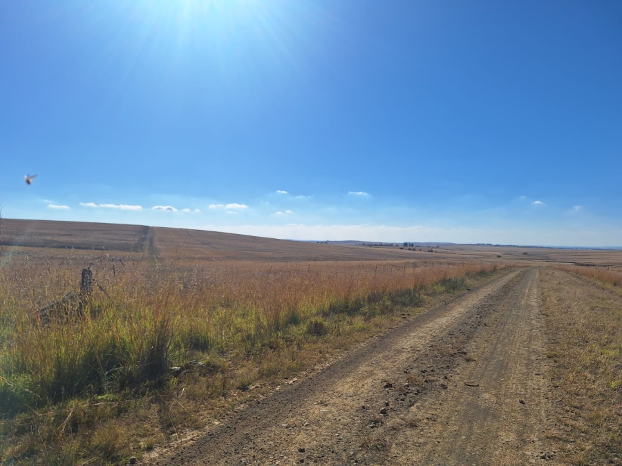 0 Bedroom Property for Sale in Amersfoort Rural Mpumalanga