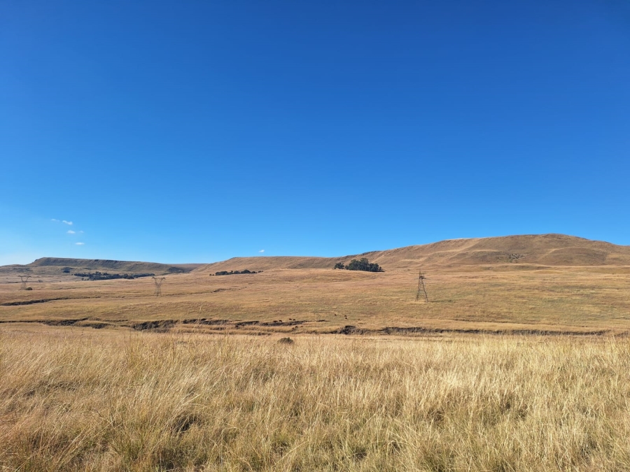 0 Bedroom Property for Sale in Amersfoort Rural Mpumalanga
