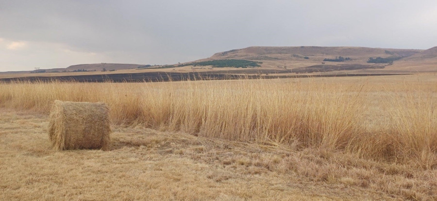 0 Bedroom Property for Sale in Amersfoort Rural Mpumalanga