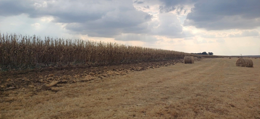 0 Bedroom Property for Sale in Amersfoort Rural Mpumalanga