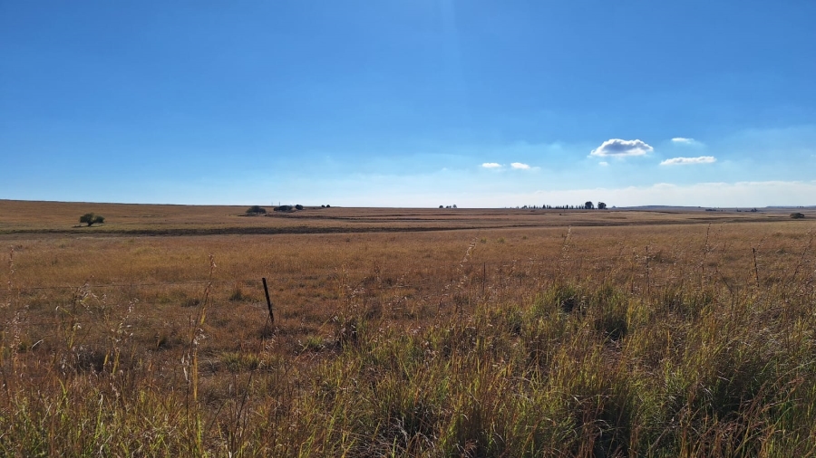 0 Bedroom Property for Sale in Amersfoort Rural Mpumalanga