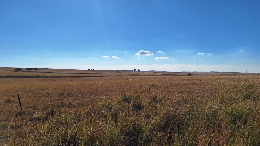 0 Bedroom Property for Sale in Amersfoort Rural Mpumalanga