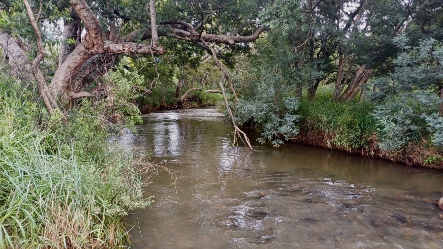 Commercial Property for Sale in Lydenburg Mpumalanga