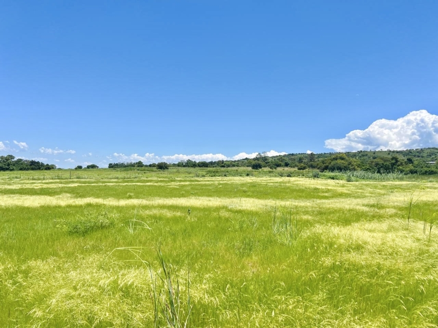 Commercial Property for Sale in Lydenburg Mpumalanga