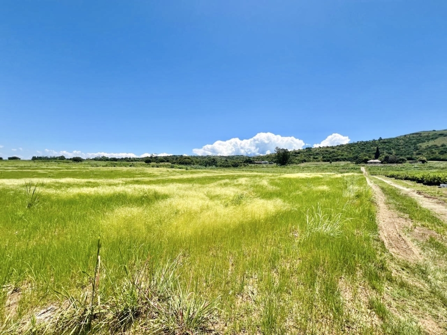 Commercial Property for Sale in Lydenburg Mpumalanga