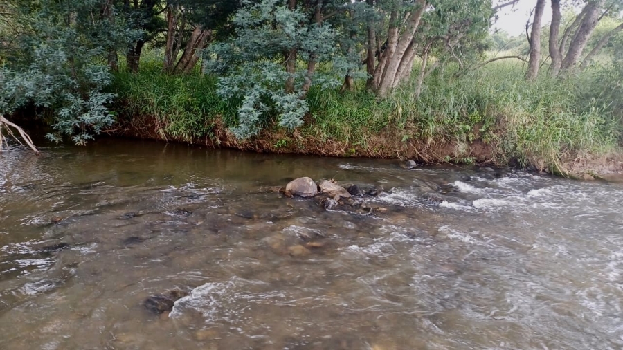 Commercial Property for Sale in Lydenburg Mpumalanga