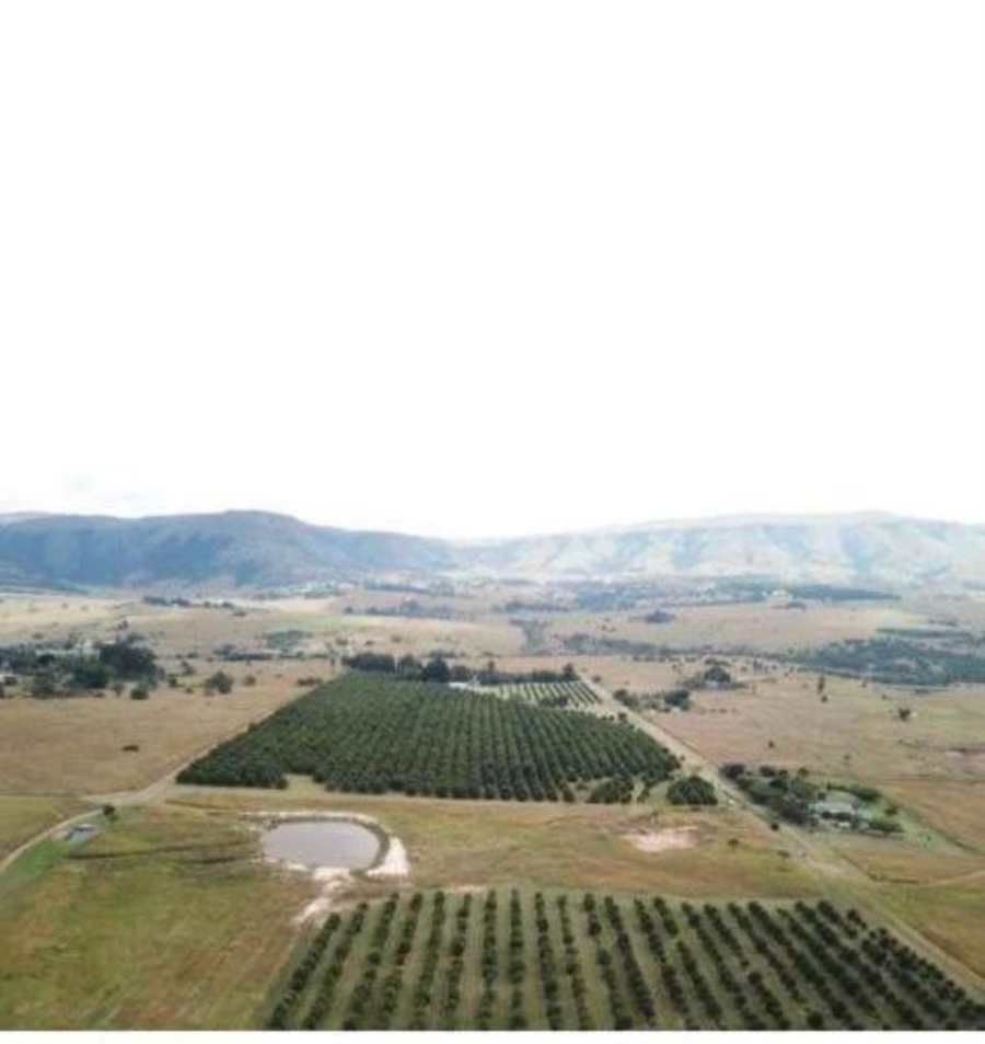 0 Bedroom Property for Sale in Badplaas Mpumalanga