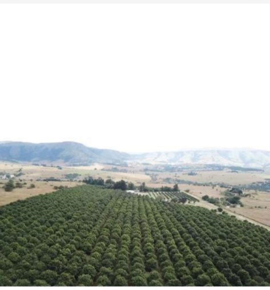 0 Bedroom Property for Sale in Badplaas Mpumalanga