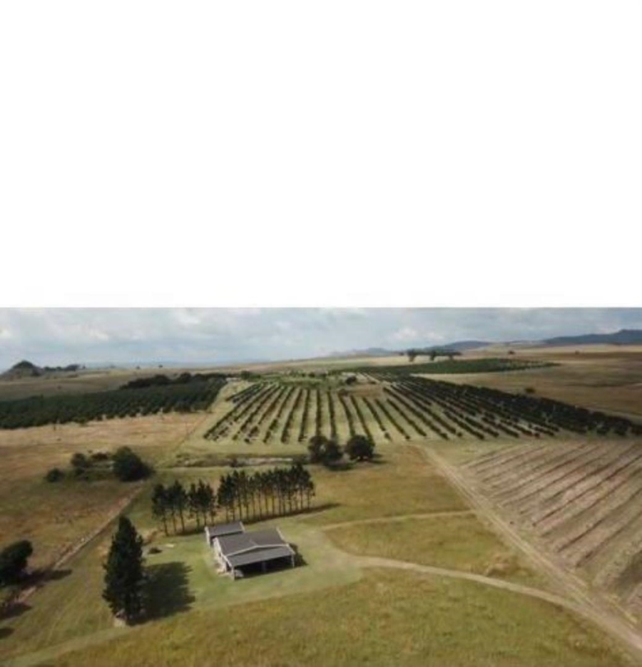 0 Bedroom Property for Sale in Badplaas Mpumalanga