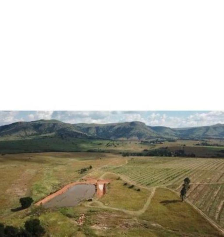 0 Bedroom Property for Sale in Badplaas Mpumalanga